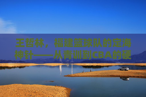 王哲林，福建篮球队的定海神针——从青训到CBA的硬核成长之路，王哲林，福建篮球队定海神针，从青训到CBA的硬核成长之路