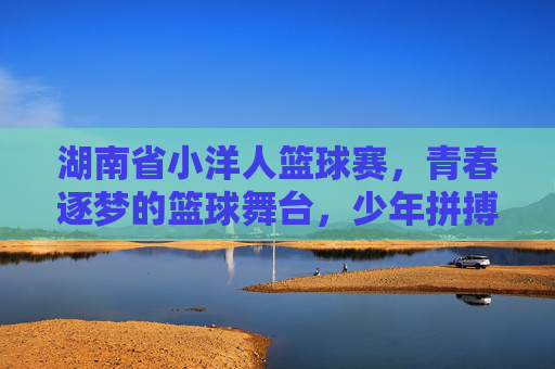 湖南省小洋人篮球赛,青春逐梦的篮球舞台,少年拼搏的激情赛场,湖南省小洋人篮球赛,青春逐梦的篮球舞台,少年拼搏的激情赛场