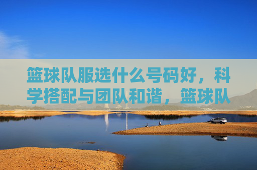 篮球队服选什么号码好,科学搭配与团队和谐,篮球队服号码选择,科学搭配与团队和谐