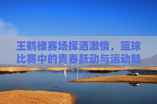 王鹤棣赛场挥洒激情,篮球比赛中的青春跃动与运动魅力,王鹤棣赛场挥洒激情,篮球比赛中的青春跃动与运动魅力