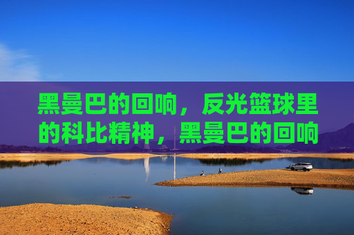 黑曼巴的回响,反光篮球里的科比精神,黑曼巴的回响,反光篮球里的科比精神