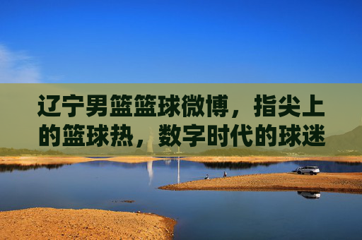 辽宁男篮篮球微博,指尖上的篮球热,数字时代的球迷共鸣,辽宁男篮篮球微博,指尖上的篮球热,数字时代的球迷共鸣