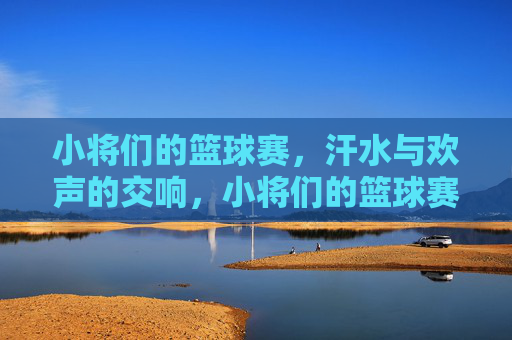 小将们的篮球赛，汗水与欢声的交响，小将们的篮球赛，汗水与欢声的交响