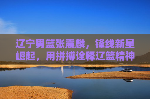 辽宁男篮张震麟,锋线新星崛起,用拼搏诠释辽篮精神,辽宁男篮张震麟,锋线新星崛起,以拼搏诠释辽篮精神