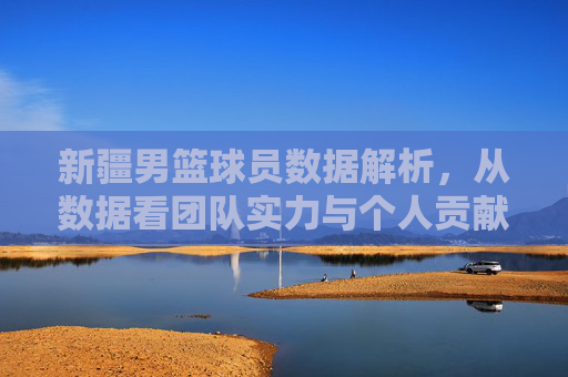 新疆男篮球员数据解析,从数据看团队实力与个人贡献的平衡