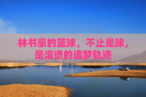 林书豪的篮球,不止是球,是滚烫的追梦轨迹