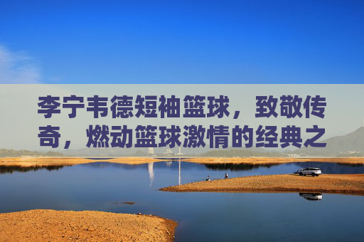 李宁韦德短袖篮球，致敬传奇，燃动篮球激情的经典之选