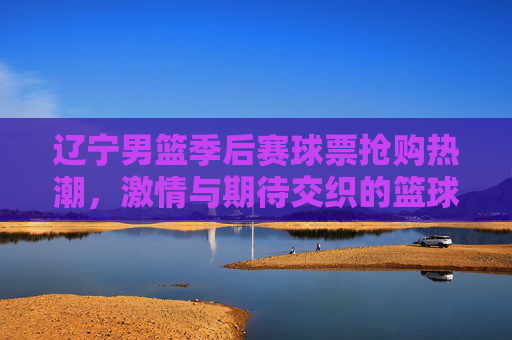 辽宁男篮季后赛球票抢购热潮,激情与期待交织的篮球盛宴