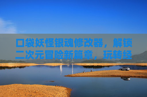 口袋妖怪银魂修改器，解锁二次元冒险新篇章，玩转经典与动漫的融合体验，口袋妖怪银魂修改器，解锁二次元冒险新篇章，玩转经典与动漫融合体验