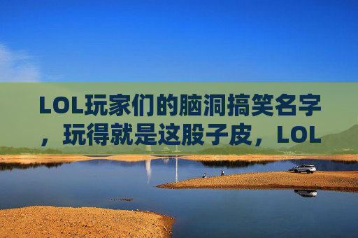 LOL玩家们的脑洞搞笑名字，玩得就是这股子皮，LOL玩家脑洞搞笑名字，玩得就是这股皮劲