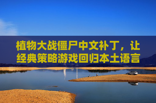 植物大战僵尸中文补丁,让经典策略游戏回归本土语言,沉浸式体验中文版乐趣,植物大战僵尸中文补丁,经典策略游戏回归本土语言,沉浸式体验中文版乐趣