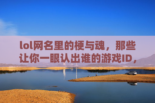 lol网名里的梗与魂，那些让你一眼认出谁的游戏ID，藏着玩家的游戏哲学与社交密码，LOL网名里的梗与魂，一眼认出的游戏ID，藏着玩家的游戏哲学与社交密码