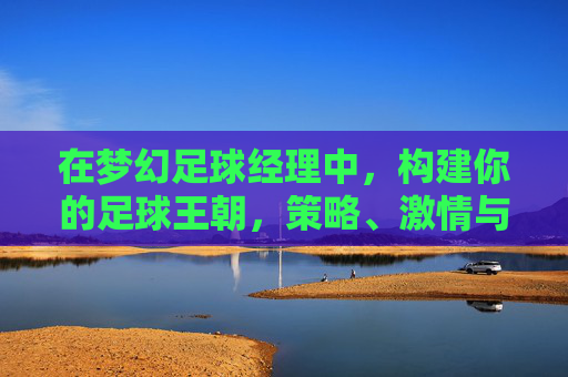 在梦幻足球经理中，构建你的足球王朝，策略、激情与足球的无限可能，梦幻足球经理，构建足球王朝，策略、激情与足球的无限可能
