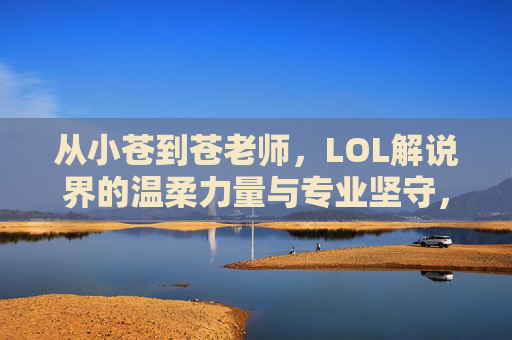 从小苍到苍老师，LOL解说界的温柔力量与专业坚守，从小苍到苍老师，LOL解说界的温柔力量与专业坚守