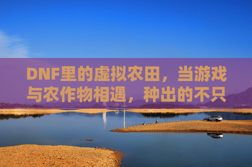 DNF里的虚拟农田,当游戏与农作物相遇,种出的不只是经验值,更是生活灵感,DNF虚拟农田,当游戏与农作物相遇,种出的不仅是经验值,更是生活灵感