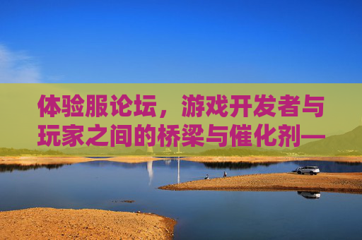 体验服论坛,游戏开发者与玩家之间的桥梁与催化剂——从玩家反馈到游戏迭代的闭环探索,体验服论坛,连接开发者与玩家,驱动游戏迭代的反馈闭环探索