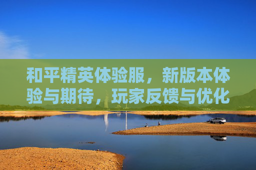 和平精英体验服，新版本体验与期待，玩家反馈与优化方向，和平精英体验服新版本体验与期待，玩家反馈及优化方向