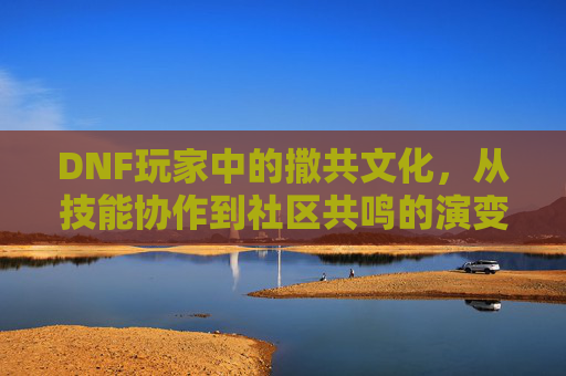 DNF玩家中的撒共文化，从技能协作到社区共鸣的演变，DNF玩家中的撒共文化，从技能协作到社区共鸣的演变
