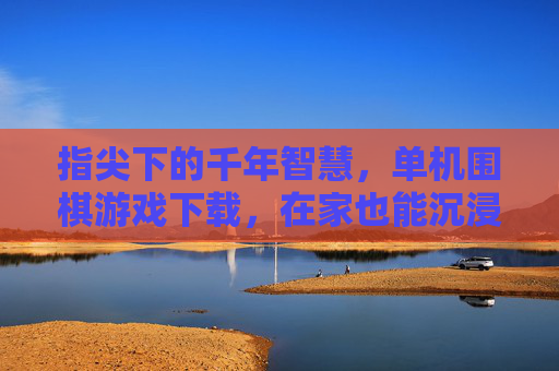 指尖下的千年智慧,单机围棋游戏下载,在家也能沉浸式体验棋盘博弈的乐趣,指尖下的千年智慧,单机围棋游戏下载,在家也能沉浸式体验棋盘博弈的乐趣