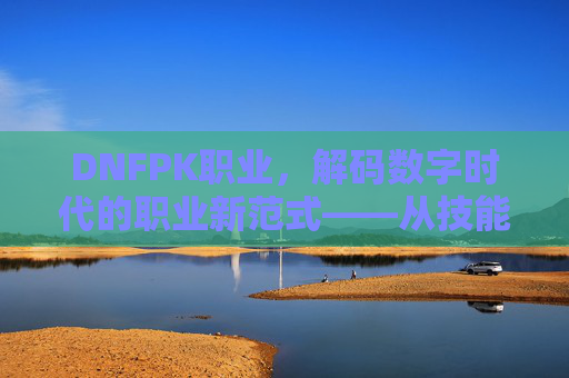 DNFPK职业，解码数字时代的职业新范式——从技能到生态的转型之路，DNFPK职业，解码数字时代的职业新范式——从技能到生态的转型之路