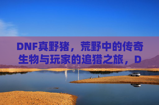 DNF真野猪,荒野中的传奇生物与玩家的追猎之旅,DNF真野猪,荒野中的传奇生物与玩家的追猎之旅