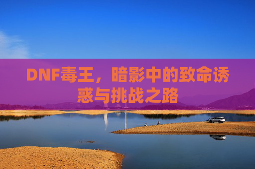 DNF毒王,暗影中的致命诱惑与挑战之路