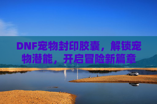 DNF宠物封印胶囊，解锁宠物潜能，开启冒险新篇章