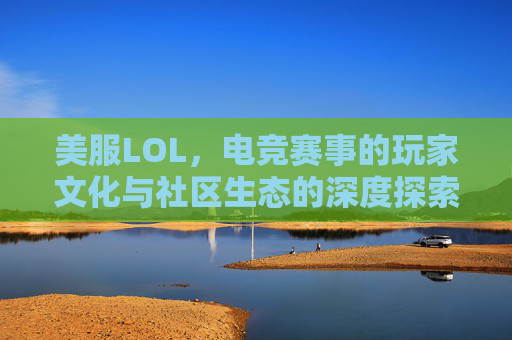 美服LOL,电竞赛事的玩家文化与社区生态的深度探索,美服LOL电竞赛事玩家文化与社区生态的深度探索