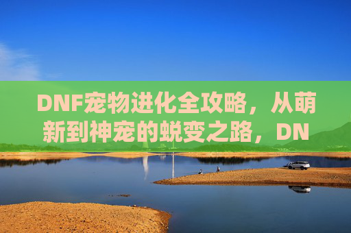 DNF宠物进化全攻略,从萌新到神宠的蜕变之路,DNF宠物进化全攻略,从萌新到神宠的蜕变之路