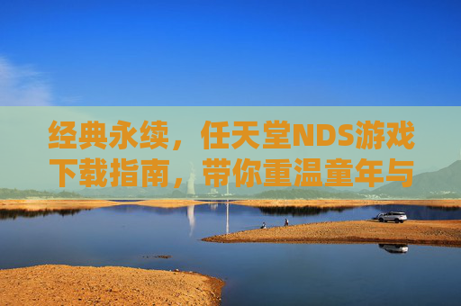 经典永续，任天堂NDS游戏下载指南，带你重温童年与掌上乐趣，经典永续，任天堂NDS游戏下载指南，重温童年掌上乐趣