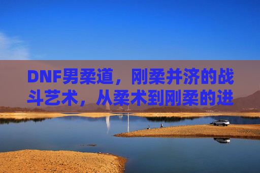 DNF男柔道，刚柔并济的战斗艺术，从柔术到刚柔的进化之路