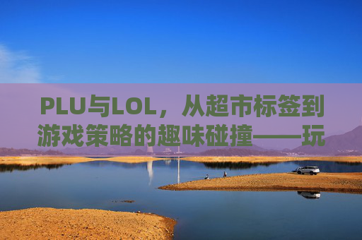 PLU与LOL，从超市标签到游戏策略的趣味碰撞——玩家视角下的数字标签新解读，PLU与LOL，从超市标签到游戏策略的趣味碰撞——玩家视角下的数字标签新解读