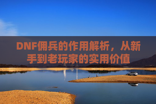 DNF佣兵的作用解析,从新手到老玩家的实用价值