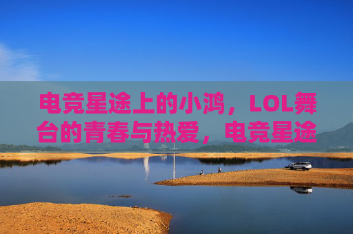 电竞星途上的小鸿，LOL舞台的青春与热爱，电竞星途上的小鸿，LOL舞台的青春与热爱