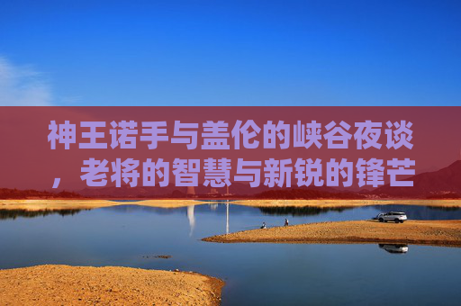 神王诺手与盖伦的峡谷夜谈，老将的智慧与新锐的锋芒，神王诺手与盖伦的峡谷夜谈，老将的智慧与新锐的锋芒碰撞