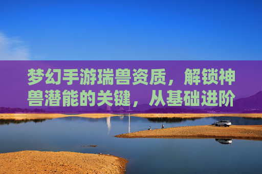 梦幻手游瑞兽资质，解锁神兽潜能的关键，从基础进阶到顶尖的进阶之路
