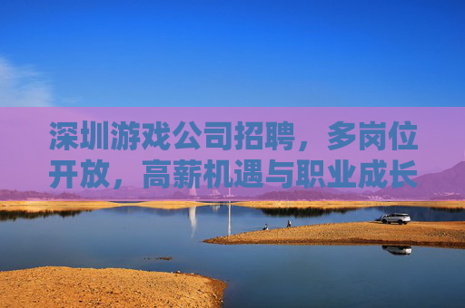 深圳游戏公司招聘，多岗位开放，高薪机遇与职业成长路径