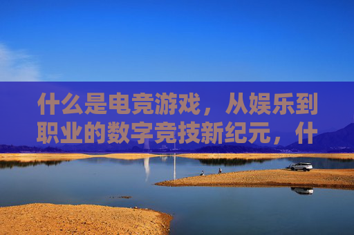 什么是电竞游戏,从娱乐到职业的数字竞技新纪元,什么是电竞游戏,从娱乐到职业的数字竞技新纪元
