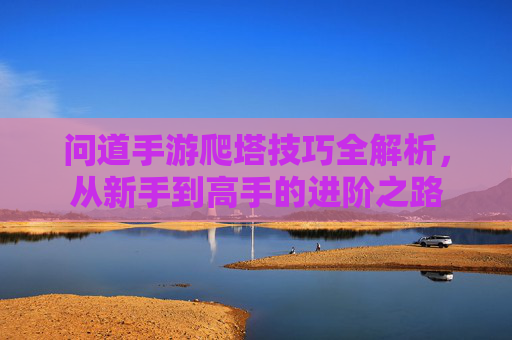 问道手游爬塔技巧全解析,从新手到高手的进阶之路