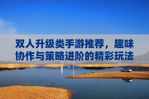 双人升级类手游推荐,趣味协作与策略进阶的精彩玩法合集