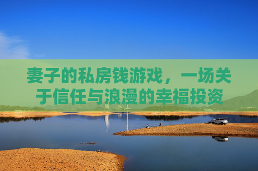 妻子的私房钱游戏，一场关于信任与浪漫的幸福投资