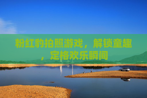粉红豹拍照游戏，解锁童趣，定格欢乐瞬间
