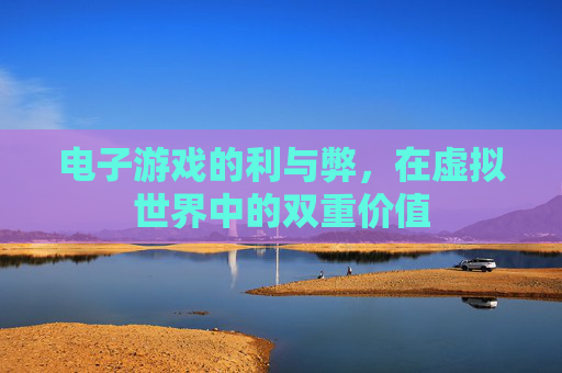 电子游戏的利与弊,在虚拟世界中的双重价值