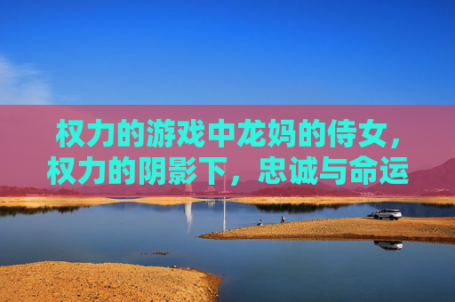 权力的游戏中龙妈的侍女,权力的阴影下,忠诚与命运的交响