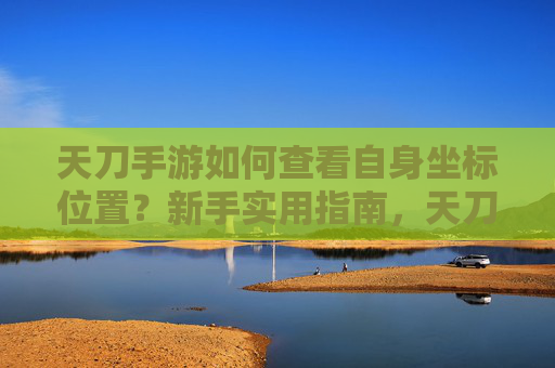 天刀手游如何查看自身坐标位置?新手实用指南,天刀手游查看自身坐标位置的方法,新手实用指南