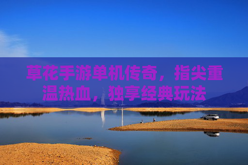 草花手游单机传奇,指尖重温热血,独享经典玩法
