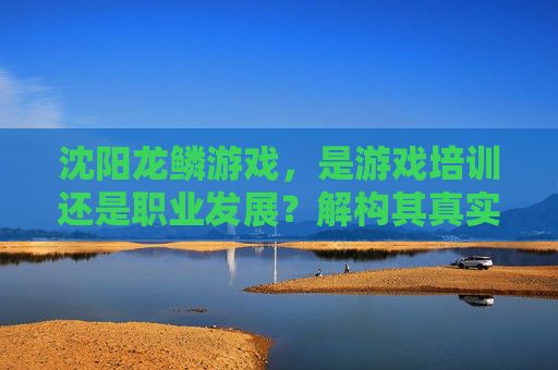 沈阳龙鳞游戏,是游戏培训还是职业发展?解构其真实教学定位与价值