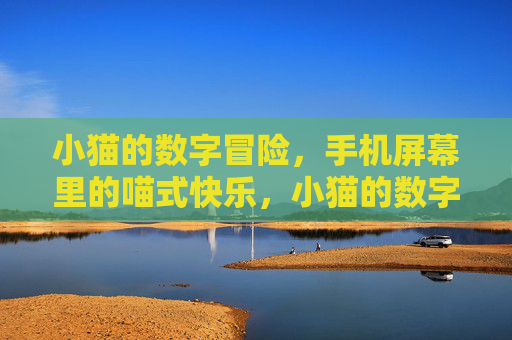 小猫的数字冒险，手机屏幕里的喵式快乐，小猫的数字冒险，手机屏幕里的喵式快乐