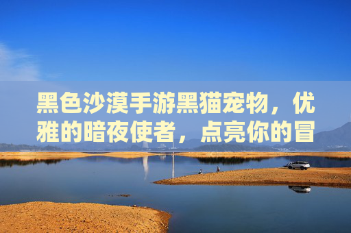 黑色沙漠手游黑猫宠物，优雅的暗夜使者，点亮你的冒险之旅