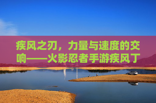 疾风之刃,力量与速度的交响——火影忍者手游疾风丁次深度解析